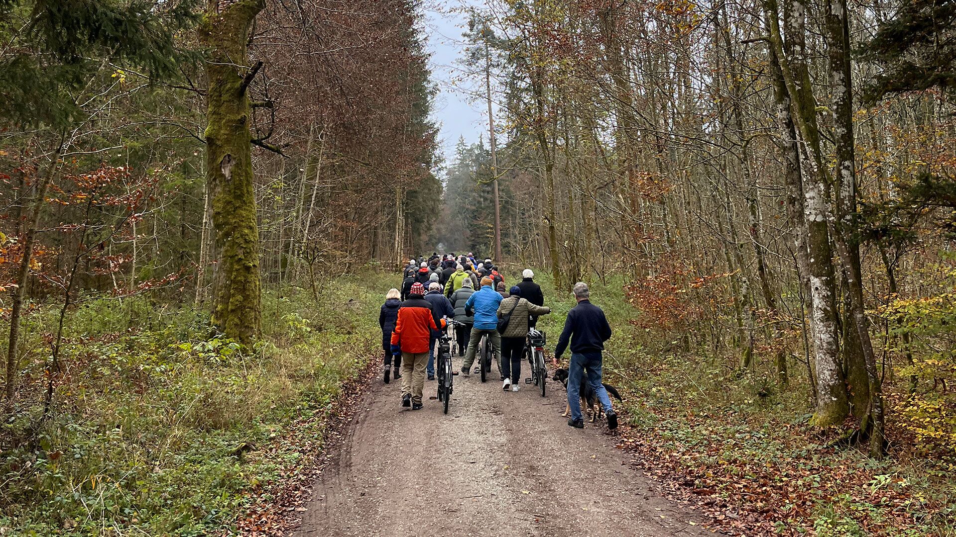 Waldbegehung im Daxenthaler Forst