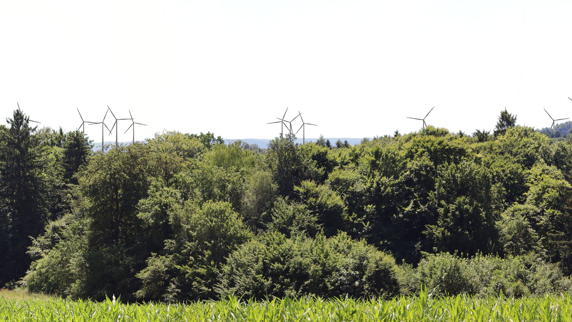 Visualisierung der Windrädern